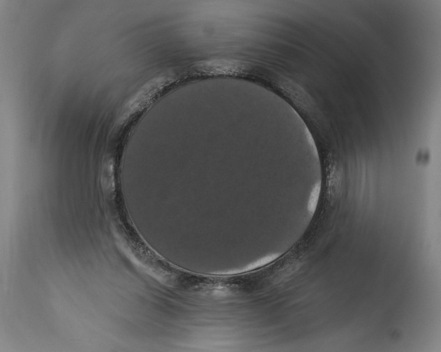 X0000114580254200911161315