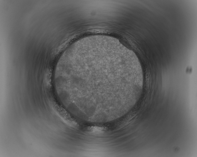 X0000114580255200911161315