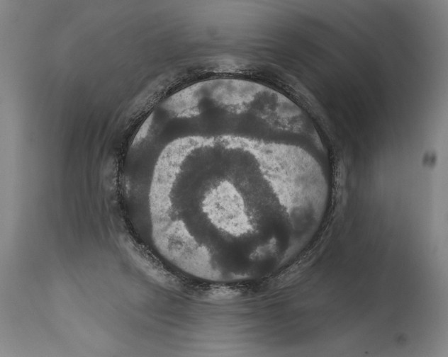 X0000114580257200911161316