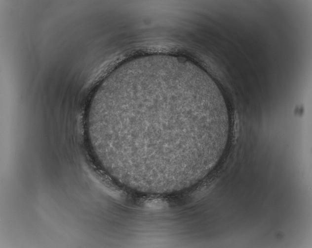 X0000114580258200911161316