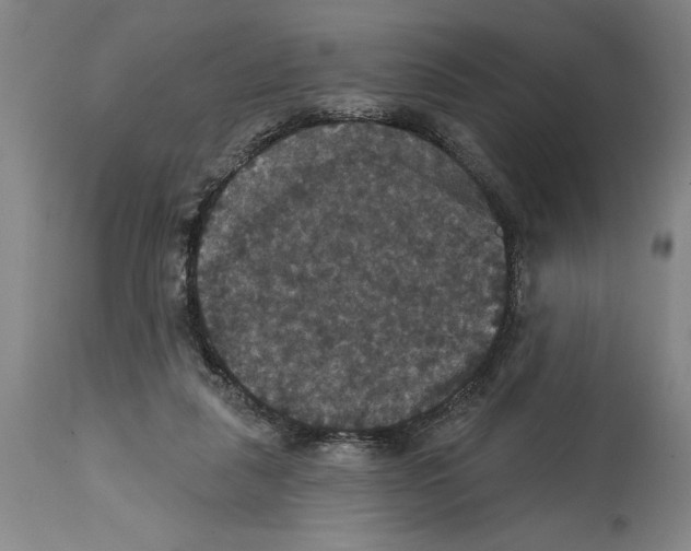 X0000114580259200911161316