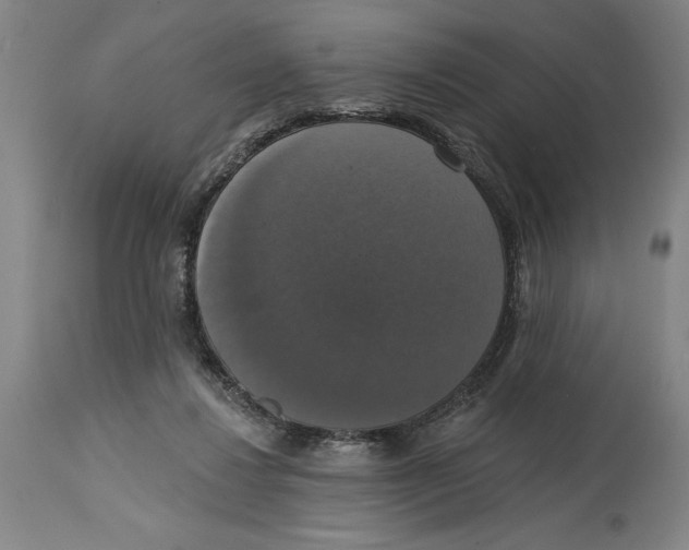 X0000114580260200911161316