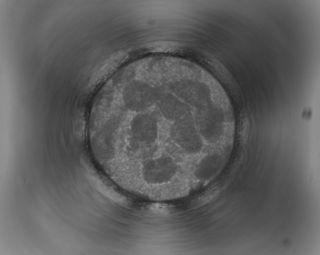 X0000114580261200911161316