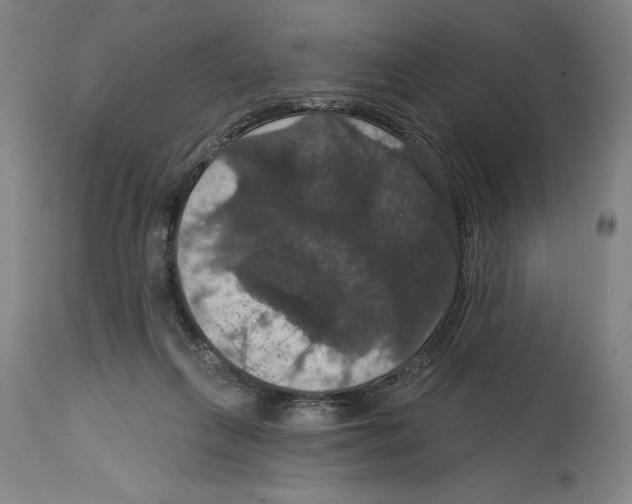 X0000114580263200911161316