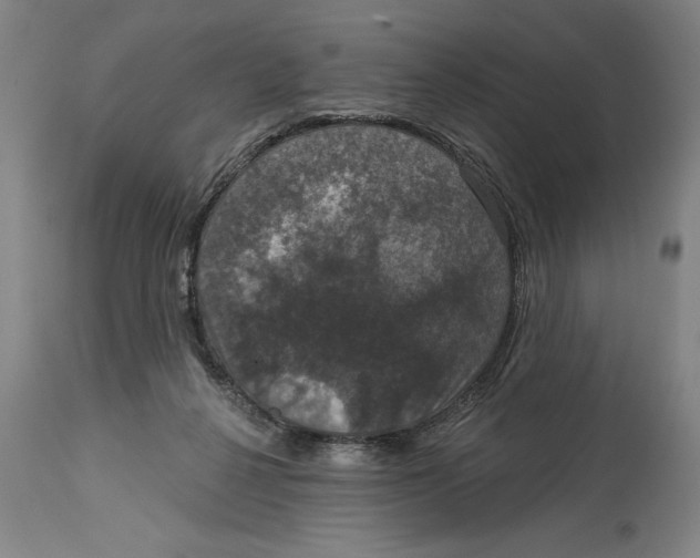 X0000114580264200911161316