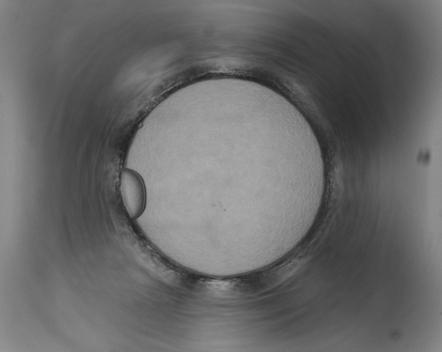 X0000114580265200911161316