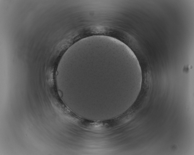 X0000114580267200911161316