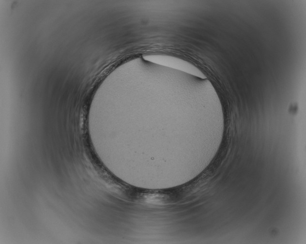 X0000114580268200911161316