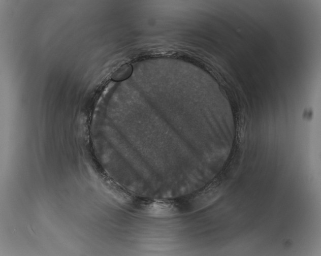 X0000114580270200911161316