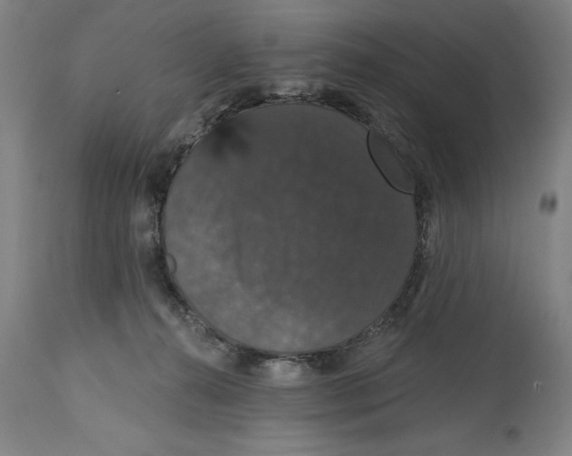 X0000114580272200911161316