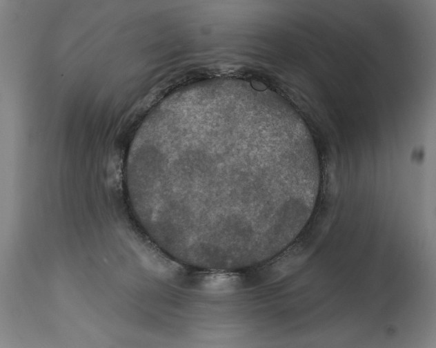 X0000114580274200911161316