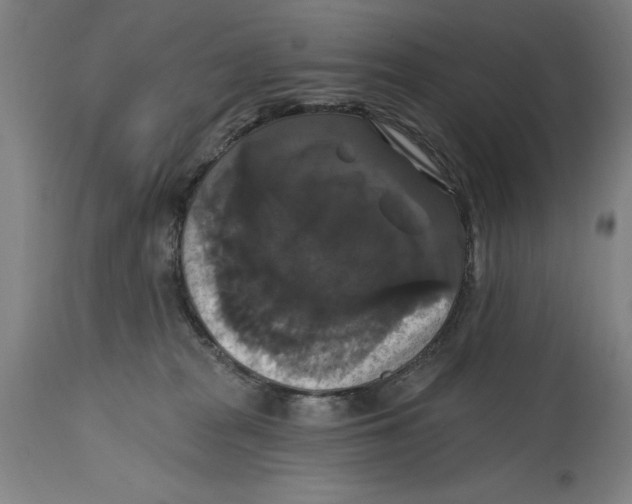 X0000114580277200911161316