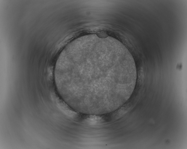 X0000114580278200911161316