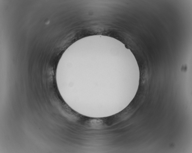 X0000114580279200911161316