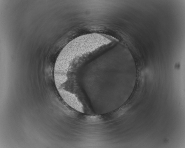 X0000114580281200911161316