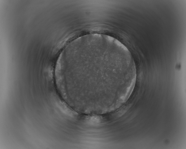 X0000114580282200911161316