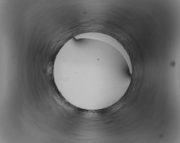 X0000114580284200911161316