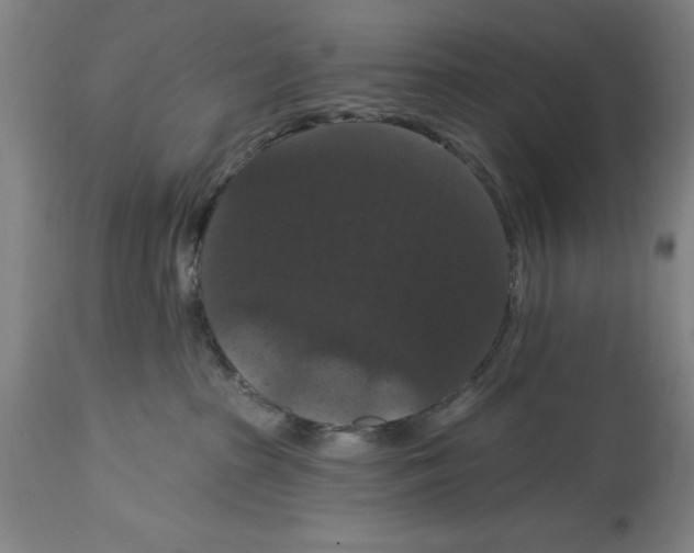 X0000114580285200911161316