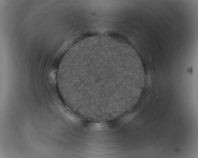 X0000114580286200911161316