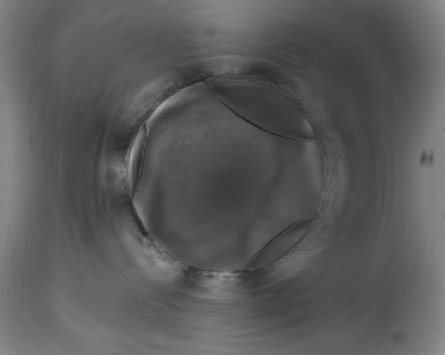 X0000114580288200911161316