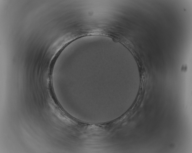 X0000114580290200911161315