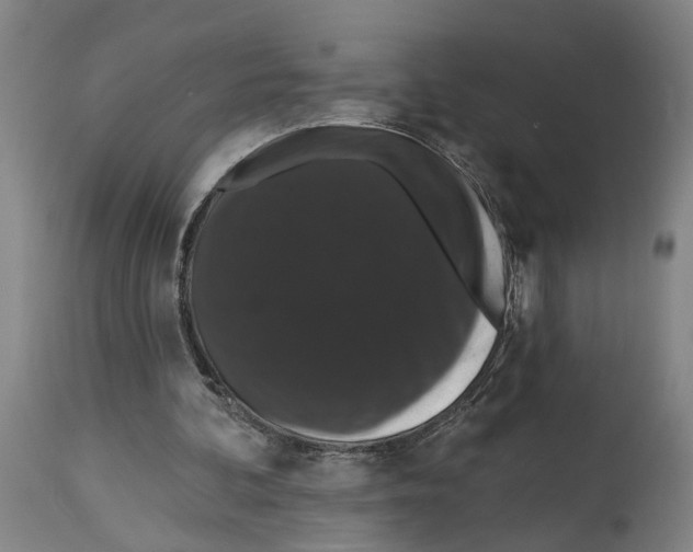 X0000114580292200911161315