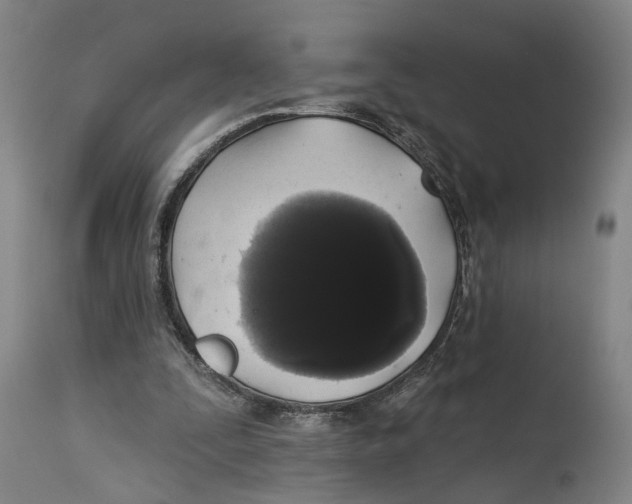 X0000114580295200911161315