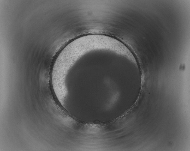 X0000114580297200911161315