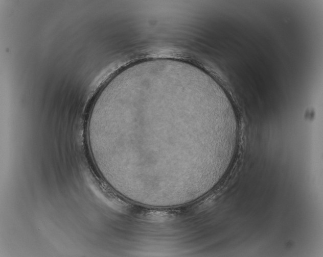 X0000114580298200911161315