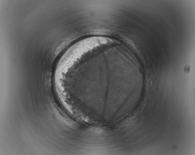 X0000114580299200911161315