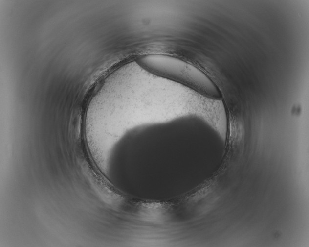 X0000114580301200911161315