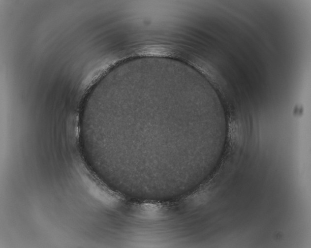 X0000114580302200911161315