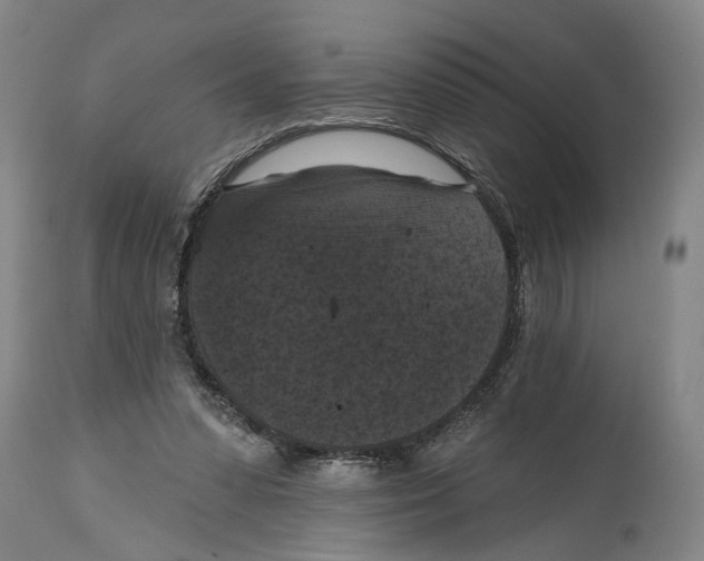 X0000114580303200911161315