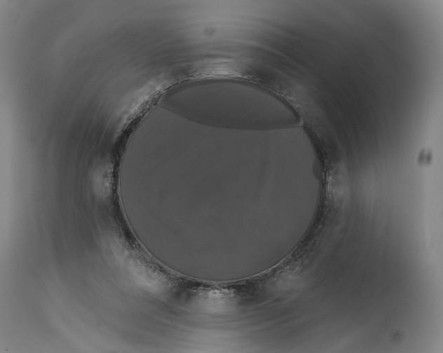 X0000114580304200911161315