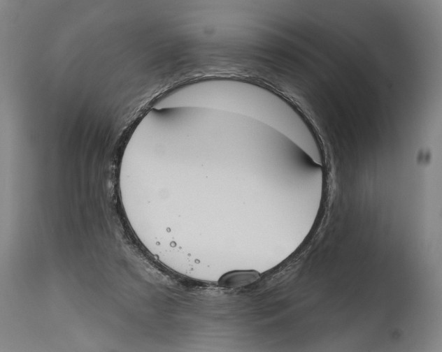 X0000114580305200911161315