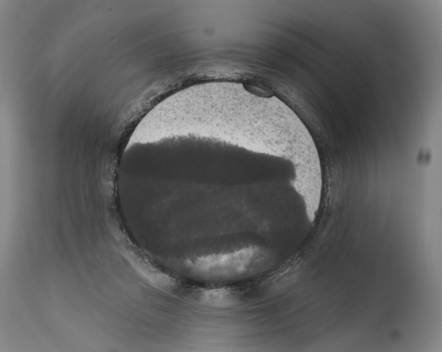 X0000114580309200911161315