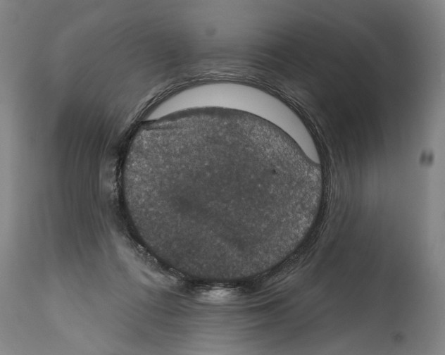 X0000114580312200911161315