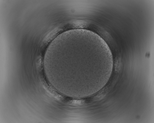 X0000114580314200911161315