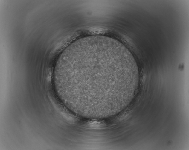 X0000114580315200911161315