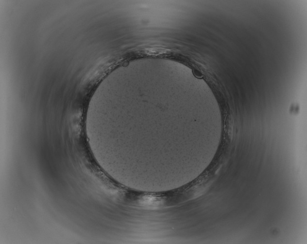 X0000114580319200911161315