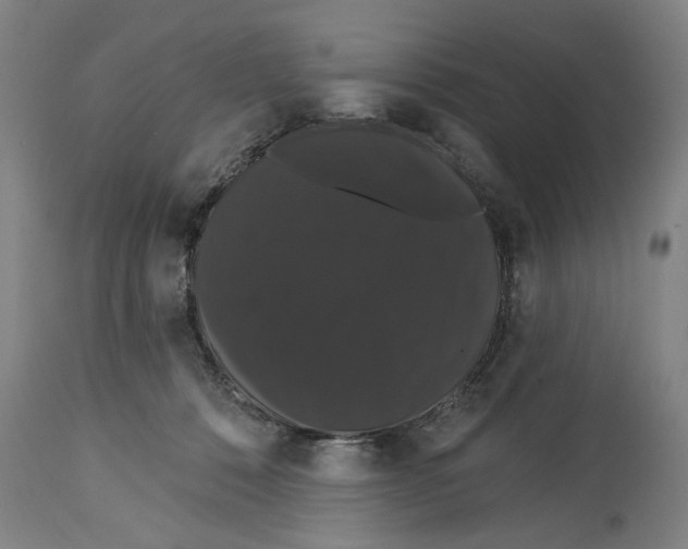 X0000114580320200911161315