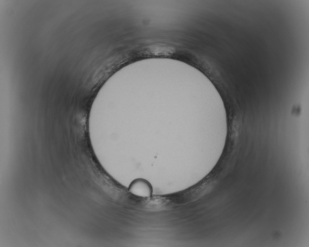 X0000114580321200911161315