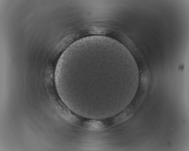 X0000114580322200911161315