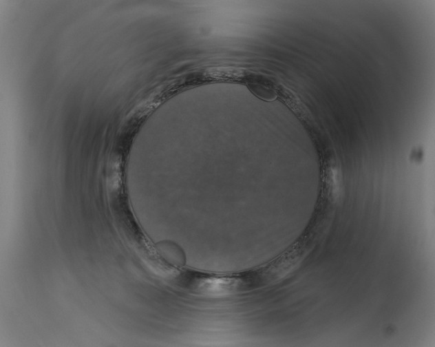 X0000114580323200911161315