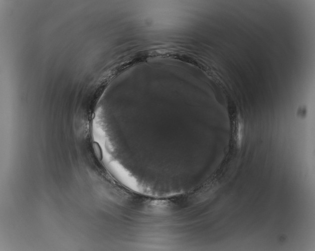 X0000114580324200911161315