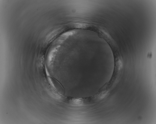 X0000114580325200911161315