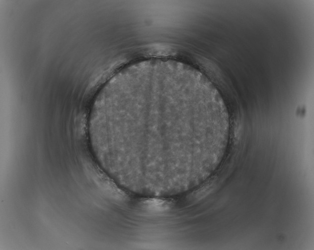 X0000114580326200911161315