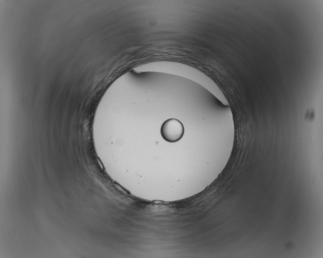 X0000114580327200911161315