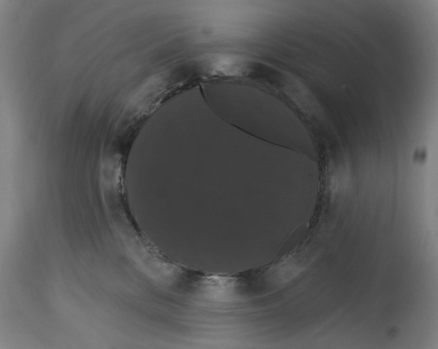 X0000114580328200911161315