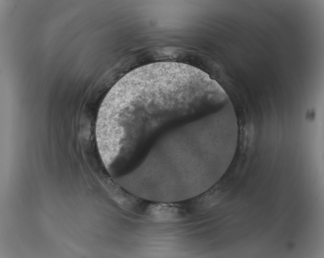 X0000114580331200911161315